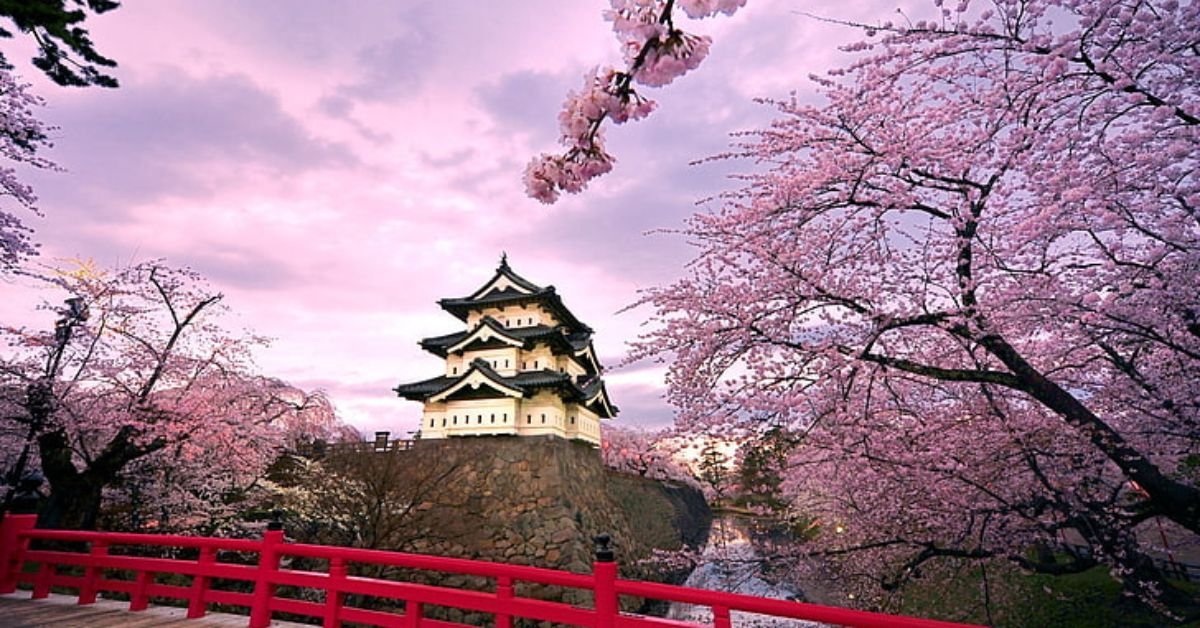 Turkish Airlines Osaka Office in Japan